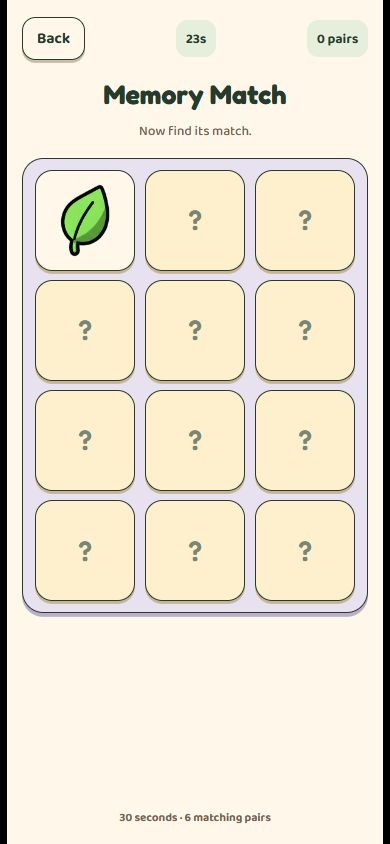 Actual Memory Match browser game with twelve cards, pair counter and 30-second round timer.